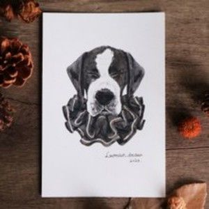 Meet your Posher, Isaac